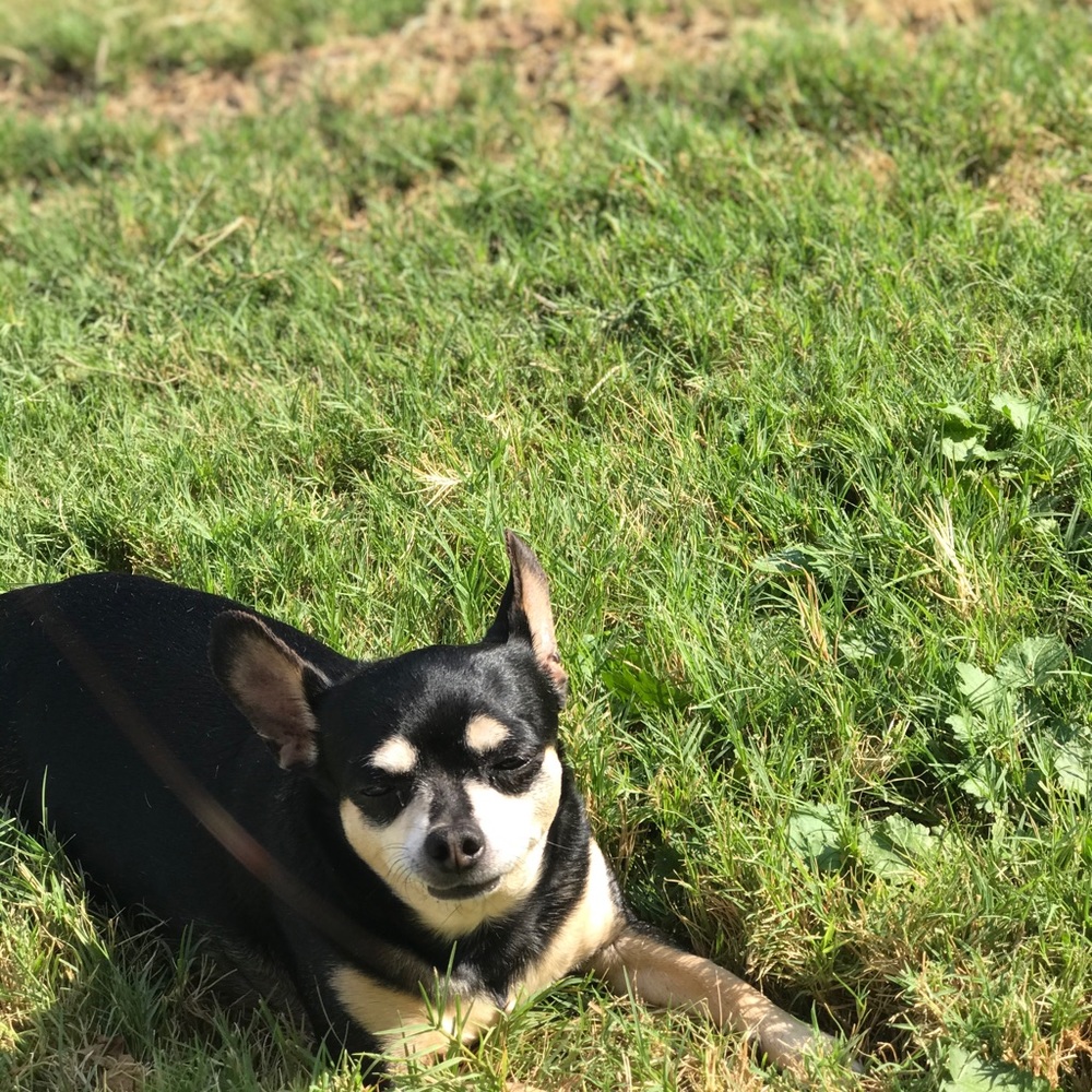 Meet your Posher, Aleah